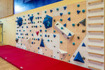 Kletterwand BK INDOOR aus 8 Teilen | 236 cm x 312 cm | inkl. 60 Griffen | 160 Loch - Kletterling – einfach Kind sein