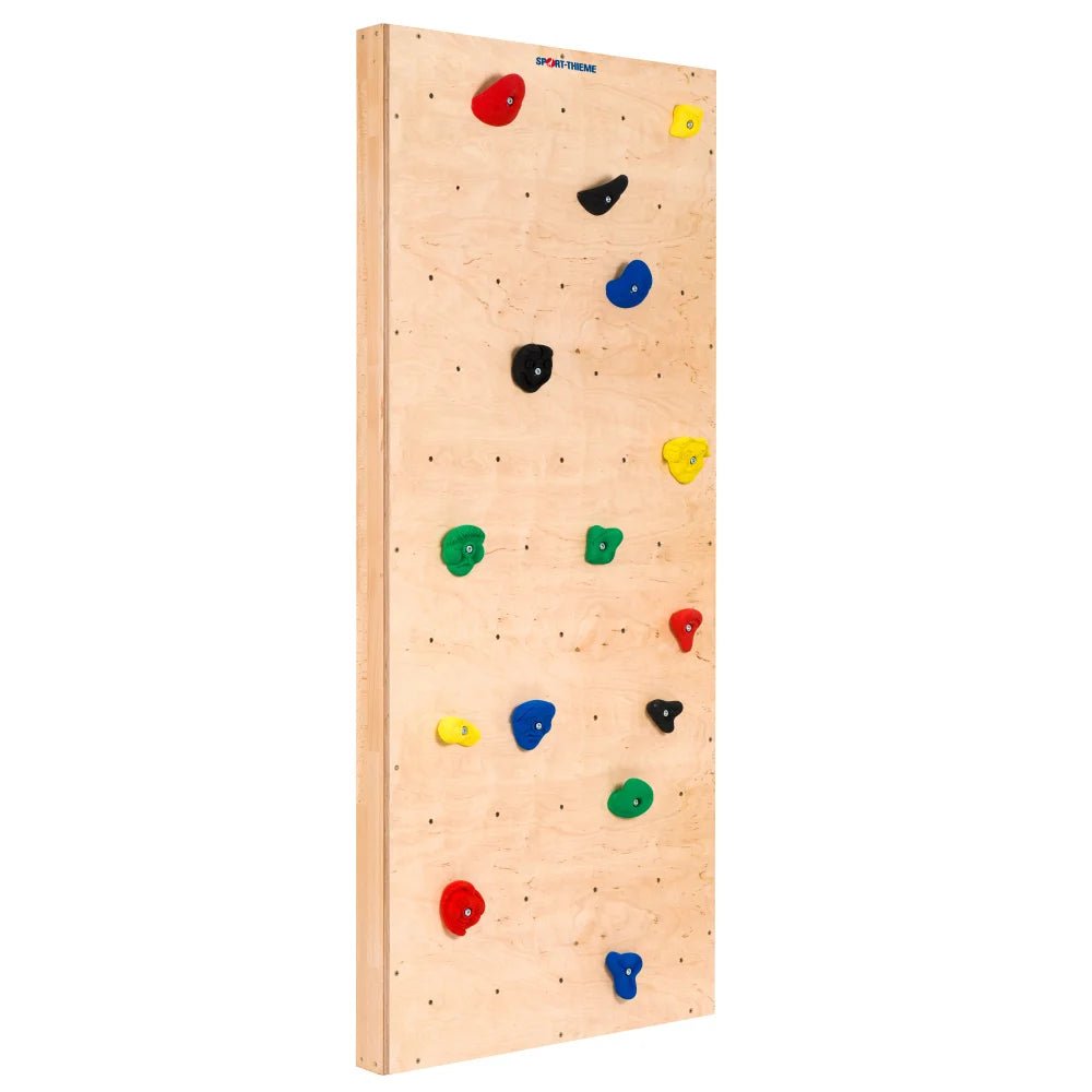 Turnwand TURNI THIEME | bunt | 230 cm x 100 cm - Kletterling – einfach Kind sein
